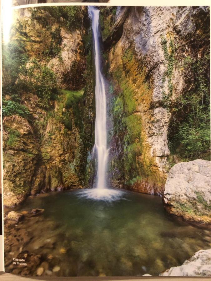 Appartamento Rosegarden Pescantina Bagian luar foto